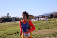cross24_67_small.jpg