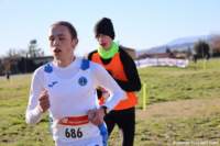 cross24_70_small.jpg