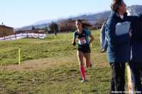 cross24_72_small.jpg