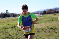 cross24_77_small.jpg