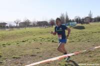 cross24_80_small.jpg