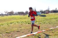 cross24_81_small.jpg