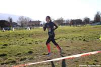 cross24_82_small.jpg