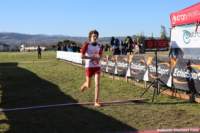 cross24_88_small.jpg