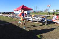 cross24_90_small.jpg