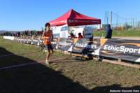 cross24_92_small.jpg