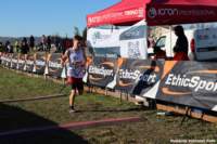 cross24_95_small.jpg
