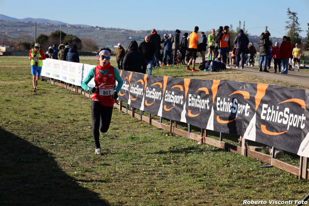 cross24_05.jpg