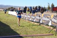 cross24_26_small.jpg