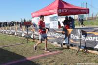 cross24_35_small.jpg