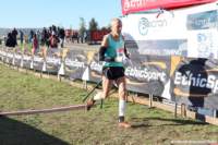 cross24_37_small.jpg