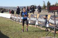 cross24_38_small.jpg