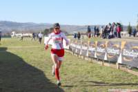 cross24_49_small.jpg