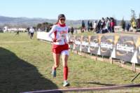 cross24_50_small.jpg