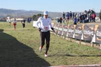 cross24_51_small.jpg