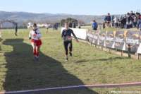 cross24_53_small.jpg