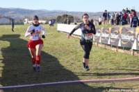 cross24_54_small.jpg