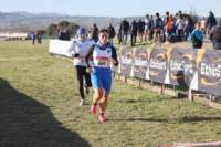 cross24_59_small.jpg