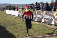 cross24_61_small.jpg