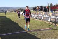 cross24_65_small.jpg