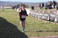 cross24_69_small.jpg