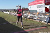 cross24_71_small.jpg