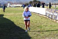 cross24_72_small.jpg