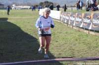 cross24_73_small.jpg