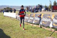 cross24_76_small.jpg