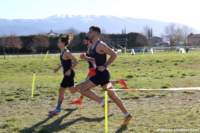 cross24_80_small.jpg