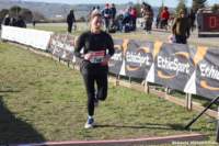 cross24_81_small.jpg