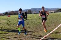 cross24_29_small.jpg