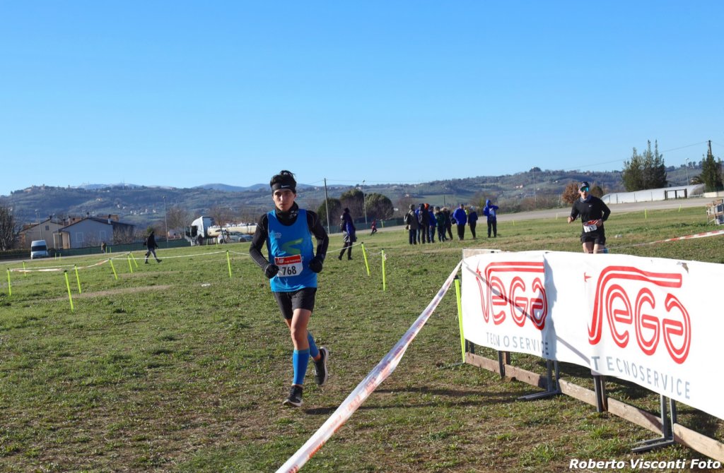 cross24_51.jpg