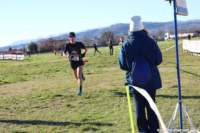 cross24_67_small.jpg