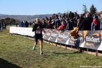 cross24_01_small.jpg
