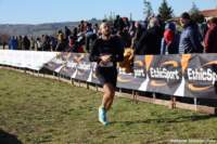 cross24_02_small.jpg