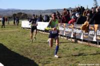 cross24_04_small.jpg