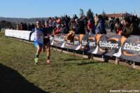 cross24_08_small.jpg