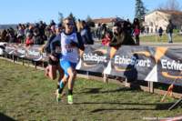 cross24_09_small.jpg