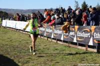 cross24_10_small.jpg