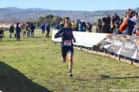 cross24_14_small.jpg