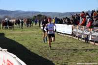 cross24_16_small.jpg