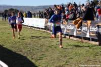 cross24_19_small.jpg