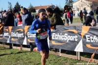 cross24_20_small.jpg