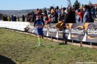 cross24_23_small.jpg