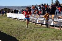 cross24_25_small.jpg