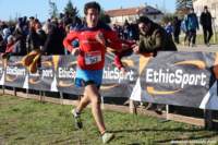 cross24_26_small.jpg