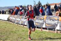 cross24_27_small.jpg