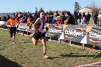 cross24_31_small.jpg