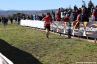 cross24_36_small.jpg